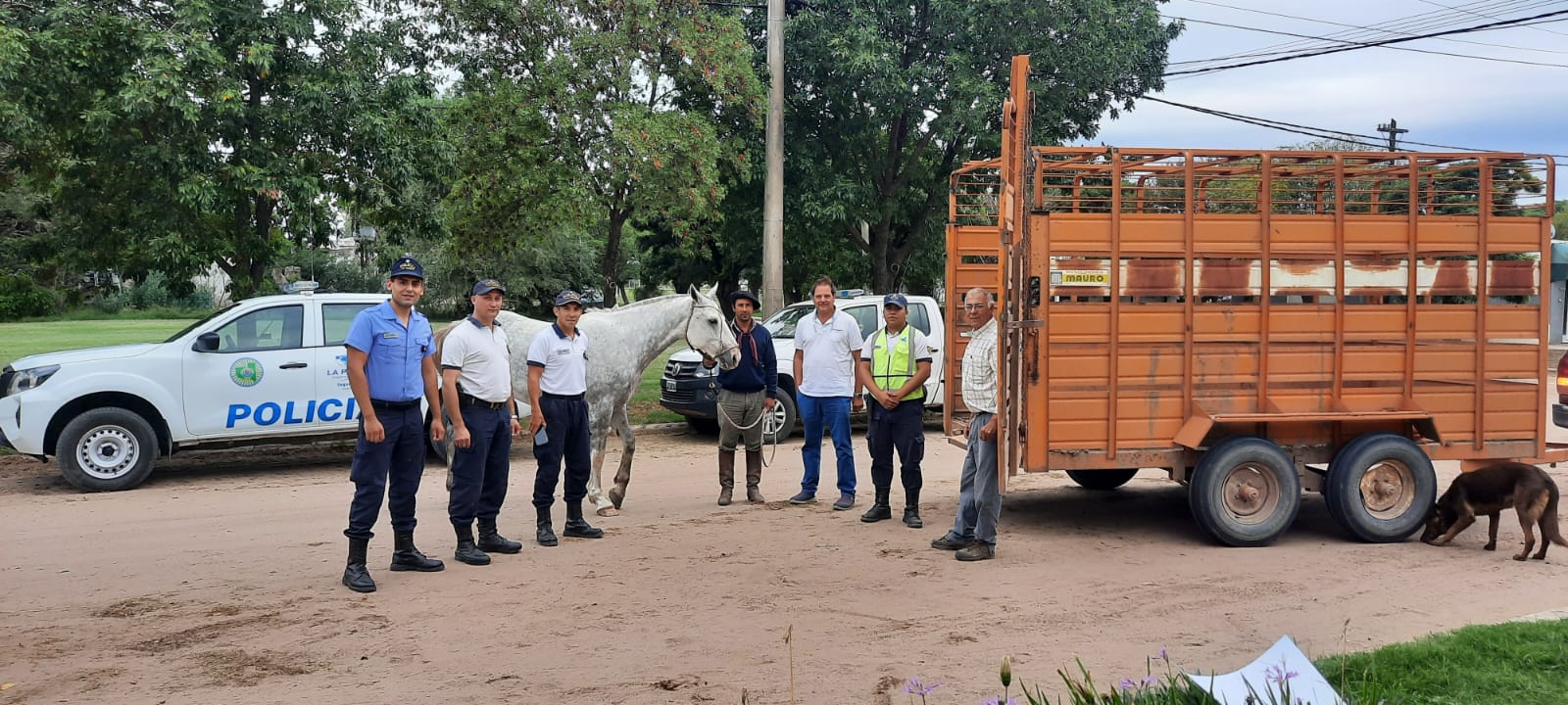 Recuperaron en Quetrequén un caballo que fue robado en Caleufú