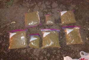 Logran desbaratar una estructura de venta de drogas entre Realicó y Córdoba: hay nueve personas detenidas