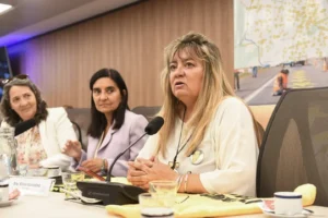 En una reunión con representantes de víctimas, Diputados abordó el proyecto sobre siniestralidad vial