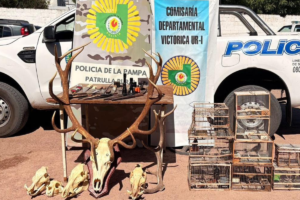 Importante despliegue de Seguridad Rural por caza ilegal, infracciones a la ley de armas y otros hechos delictivos