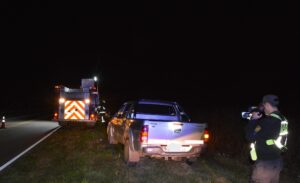 Accidente en la ruta provincial 2 por la presencia de animales sueltos: dos rodados involucrados