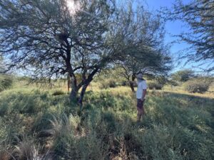 Plan Estratégico de Turismo: inician el relevamiento técnico y fortalecimiento territorial