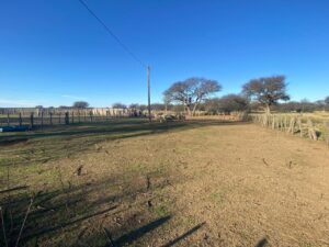 Rancul: investigan el robo de corderos en la zona rural