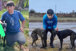 Intensa búsqueda en Speluzzi: buscan a un menor de 14 años que salió a cazar con sus perros y no regresó
