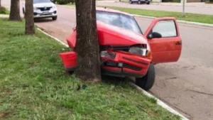 Un auto chocó contra un árbol y murió una mujer de 65 años en Miguel Cané