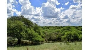 El Gobierno provincial envía a la Legislatura un proyecto de Ley de Tierras Rurales